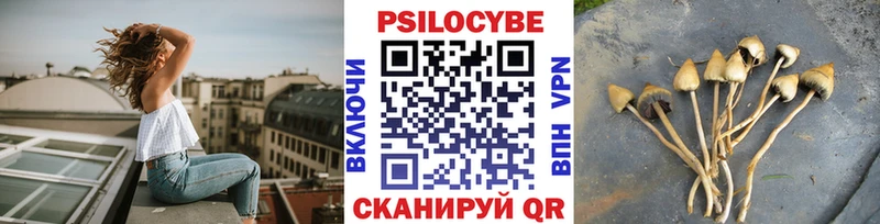 hydra сайт  Бавлы  Псилоцибиновые грибы Magic Shrooms 
